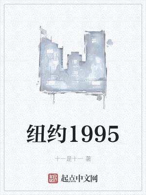 小说纽约1995