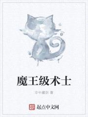 魔王级术士小说免费阅读下载全文最新