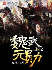 三国之魏武元勋